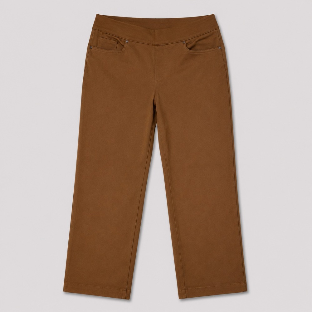 Chicos Womens Size 2 Brown Pull On Ankle Pants Stretch Slim Casual